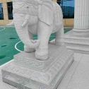 南通 白麻花岗岩动物异形石雕-大象