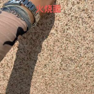 南通黄金麻火烧面